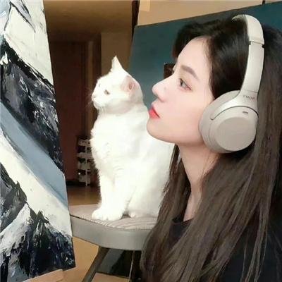 暴龙真相